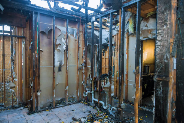 Professional Fire Damage Removal technician working in Harvey, IL
